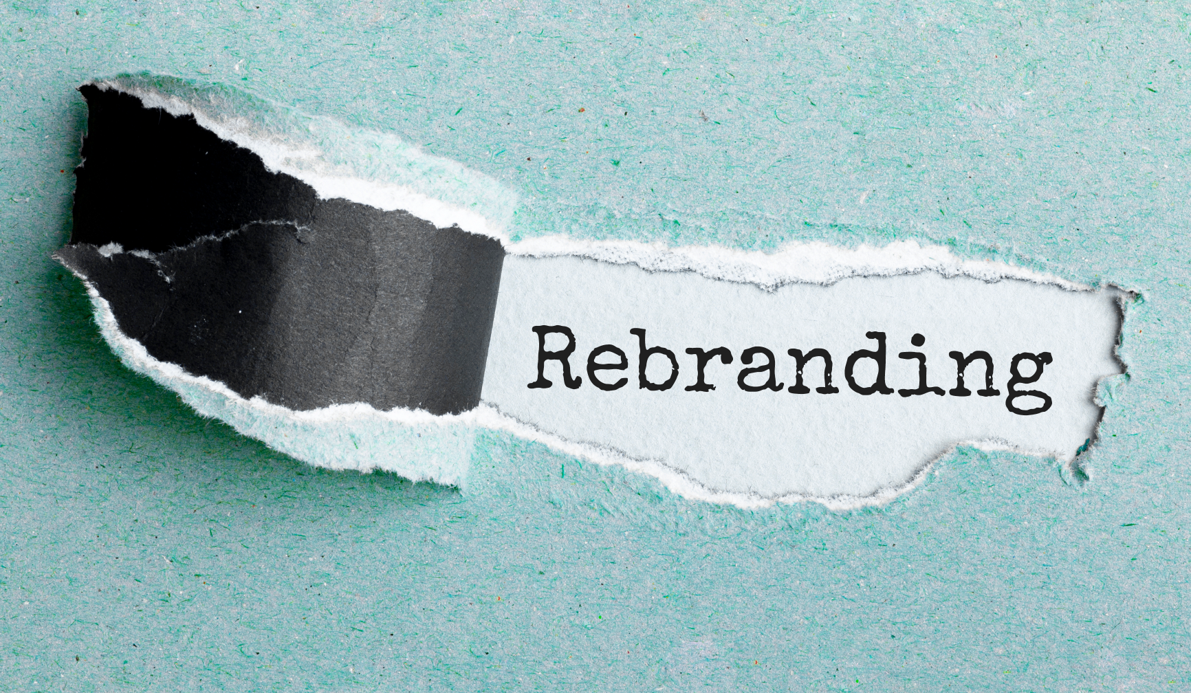 Breathe New Life into Your Brand: Refresh vs Rebrand?